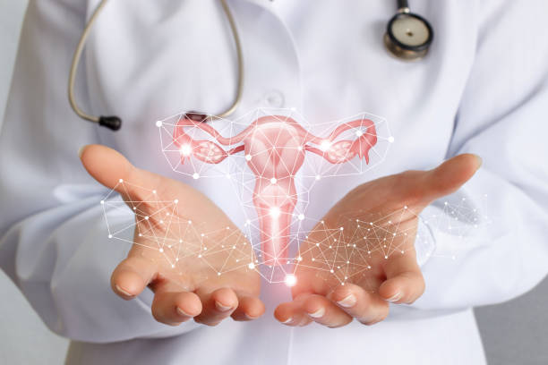 best gynaecologist in andheri